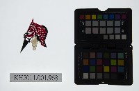 皮影戲偶頭-末藏品圖，第1張