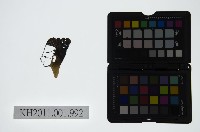 皮影戲偶頭-生藏品圖，第1張