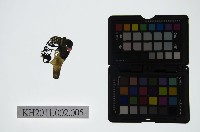 皮影戲偶頭-淨藏品圖，第1張