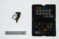 皮影戲偶頭-丑藏品圖，第1張