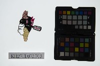 皮影戲偶頭-生藏品圖，第1張