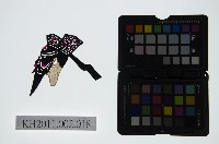 皮影戲偶頭-末藏品圖，第1張