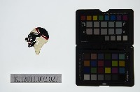 皮影戲偶頭-雜藏品圖，第1張