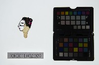 皮影戲偶頭-生藏品圖，第1張