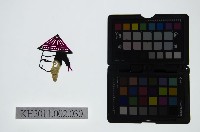 皮影戲偶頭-生藏品圖，第1張