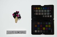 皮影戲偶頭-雜藏品圖，第1張