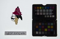 皮影戲偶頭-生藏品圖，第1張