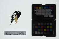 皮影戲偶頭-末藏品圖，第1張