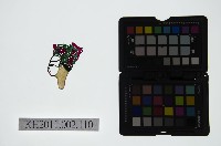 皮影戲偶頭-生藏品圖，第1張