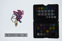 皮影戲偶頭-生藏品圖，第1張