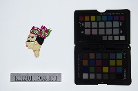 皮影戲偶頭-生藏品圖，第1張