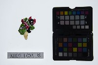 皮影戲偶頭-生藏品圖，第1張