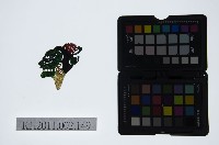 皮影戲偶頭-雜藏品圖，第1張