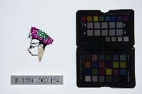 皮影戲偶頭-生藏品圖，第1張