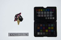 皮影戲偶頭-雜藏品圖，第1張