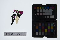 皮影戲偶頭-丑藏品圖，第1張