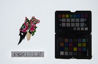 皮影戲偶頭-淨藏品圖，第1張