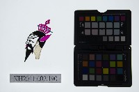 皮影戲偶頭-末藏品圖，第1張