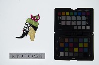 皮影戲偶頭-末藏品圖，第1張