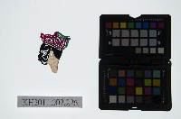 皮影戲偶頭-淨藏品圖，第1張