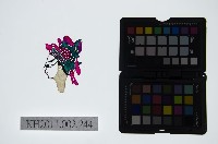 皮影戲偶頭-生藏品圖，第1張