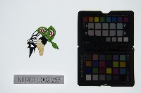 皮影戲偶頭-淨藏品圖，第1張