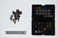 皮影戲偶頭-淨藏品圖，第1張