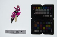 皮影戲偶頭-雜藏品圖，第1張