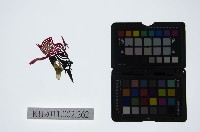 皮影戲偶頭-末藏品圖，第1張