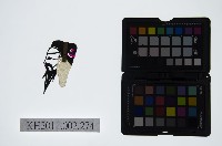 皮影戲偶頭-末藏品圖，第1張