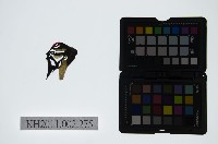 皮影戲偶頭-淨藏品圖，第1張