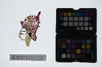 皮影戲偶頭-生藏品圖，第1張