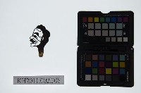 皮影戲偶頭-丑藏品圖，第1張