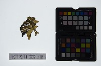 皮影戲偶頭-雜藏品圖，第1張