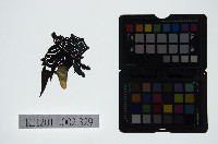 皮影戲偶頭-末藏品圖，第1張