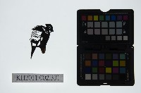 皮影戲偶頭-末藏品圖，第1張