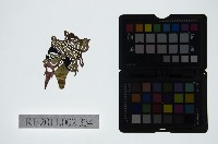 皮影戲偶頭-淨藏品圖，第1張