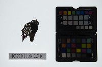 皮影戲偶頭-雜藏品圖，第1張