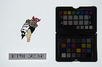 皮影戲偶頭-末藏品圖，第1張