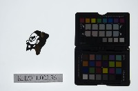 皮影戲偶頭-淨藏品圖，第1張