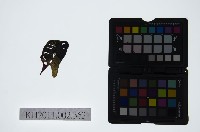 皮影戲偶頭-末藏品圖，第1張