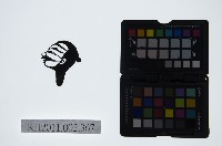 皮影戲偶頭-丑藏品圖，第1張