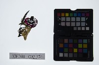 皮影戲偶頭-淨藏品圖，第1張