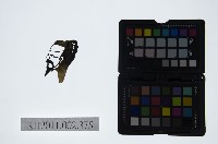 皮影戲偶頭-末藏品圖，第1張