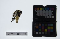 皮影戲偶頭-末藏品圖，第1張