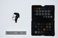 皮影戲偶頭-生藏品圖，第1張