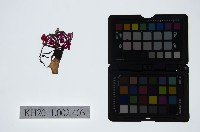 皮影戲偶頭-生藏品圖，第1張