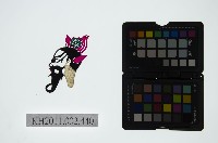 皮影戲偶頭-雜藏品圖，第1張