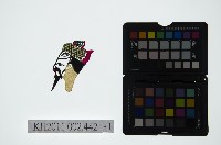 皮影戲偶頭-末藏品圖，第2張