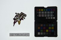 皮影戲偶頭-雜藏品圖，第1張